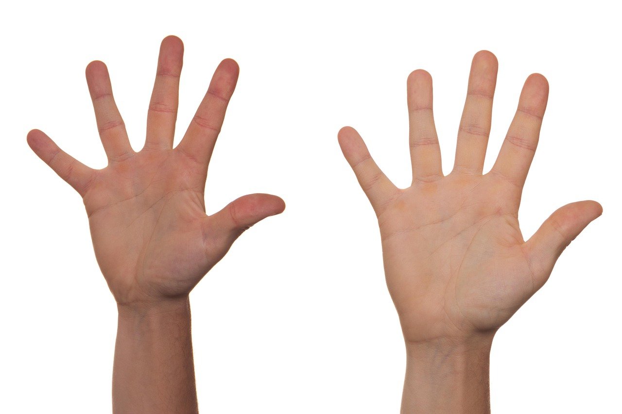 volunteer, voluntary, accompany, guide, grip, handle, dexterity, hand, help out, side, lead, hand over, playing hand, labor force, bookmark, prepared, available, busy, finished, by, along, upwards, on, excited, order, to increase, voice, ballot box, to vote, palm, white, arm, arms, boy, man, human, to cancel, cancelled, to reach, rack, stretch, how much, many, participate, fingers, regards, greet, gesture, help, satisfied, participation, agreement, to agree, openness, open, to wave, five, number of, volunteer, volunteer, volunteer, palm, arm, arm, arm, arm, arm, arms, participate, fingers, participation, five, five, five, five