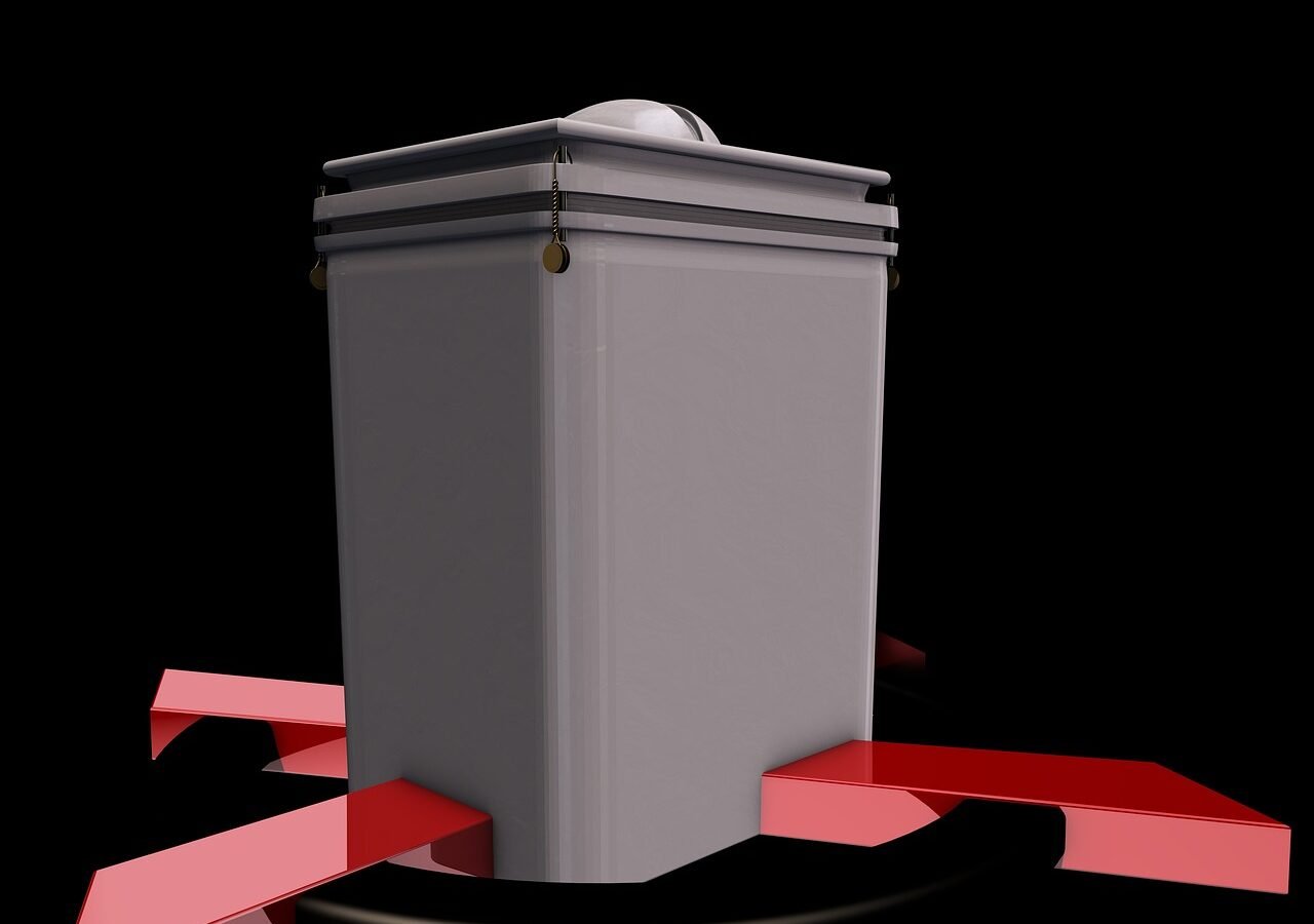 ballot box, select, choice, federal election, voting, politics, voter, say, participate, state election, vote, poll, popular vote, democracy, ballot