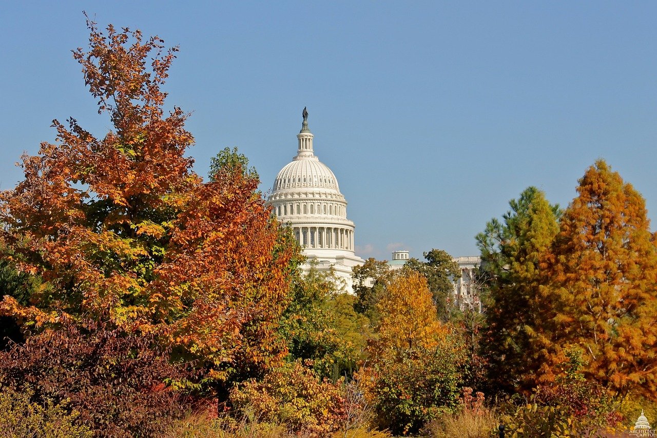 washington dc, capitol, architecture, sky, clouds, fall, autumn, trees, foliage, colorful, beautiful, nature, urban, city, cities